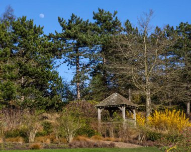 Essex, UK - April 2nd 2023: A beautiful scene at RHS Hyde Hall in Essex, UK. clipart