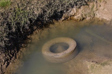 An old tyre which has been dumped in the water of the Thames Estuary in England. clipart