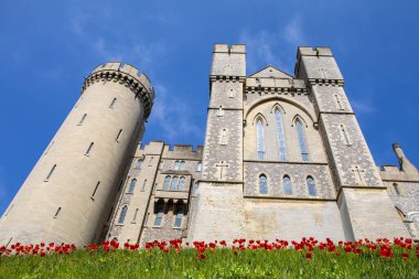 Sussex, İngiltere - 29 Nisan 2023: Arundel, Batı Sussex 'teki tarihi Arundel Kalesi' nde güzel kırmızı laleler halısı.