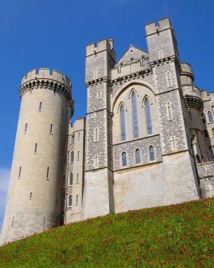 Sussex, İngiltere - 29 Nisan 2023: Arundel, Batı Sussex 'teki tarihi Arundel Kalesi' nde güzel kırmızı laleler halısı.