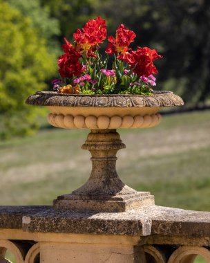 Wight Adası, İngiltere - 3 Mayıs 2023: Osborne House 'daki Terrace Gardens' ta yontulmuş bir saksı - İngiltere 'nin Wight Adası' ndaki Doğu Cowes 'da bulunan Kraliçe I. Victoria' nın eski evi..