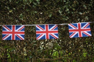 Birlik bayrağına yakın plan.