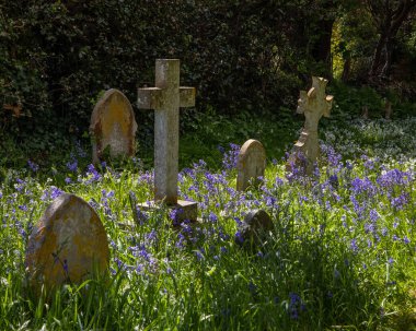 İngiltere 'nin Wight Adası' ndaki Sandown tatil köyündeki Christ Church, Sandown kilisesinin mezarlığında mezar taşları..