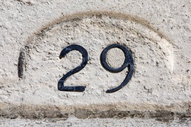 29 numaraya yakın çekim.