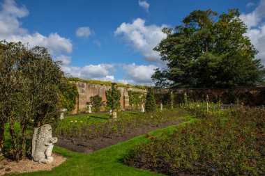 Kent, İngiltere - 16 Eylül 2024: Kent, İngiltere 'deki tarihi Hever Şatosu' nda Gül Bahçesi manzarası.