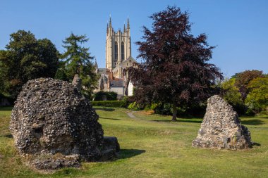 Bury St. Edmunds Manastırı 'nın harabelerinden bazılarının manzarası, arka planda St. Edmundsbury Katedrali kulesi, Suffolk, İngiltere' deki tarihi Bury St. Edmunds kasabası..