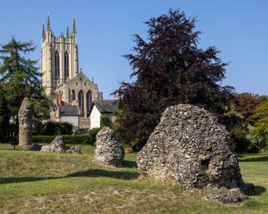 Bury St. Edmunds Manastırı 'nın harabelerinden bazılarının manzarası, arka planda St. Edmundsbury Katedrali kulesi, Suffolk, İngiltere' deki tarihi Bury St. Edmunds kasabası..