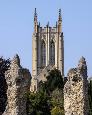 Bury St. Edmunds Manastırı 'nın bazı kalıntıları, arka planda St. Edmundsbury Katedrali kulesi, Suffolk, İngiltere' deki tarihi Bury St. Edmunds kasabası..