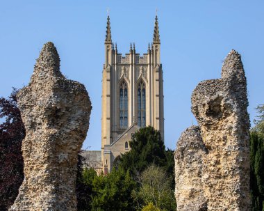 Bury St. Edmunds Manastırı 'nın bazı kalıntıları, arka planda St. Edmundsbury Katedrali kulesi, Suffolk, İngiltere' deki tarihi Bury St. Edmunds kasabası..