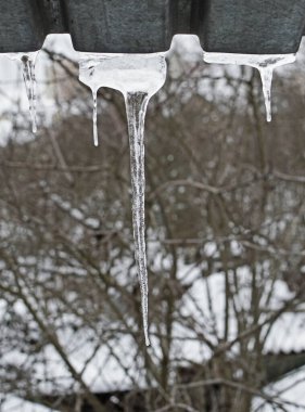 Icicles of various shapes hang from the metal roof. Selective focus