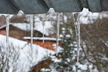 Icicles of various shapes hang from the metal roof. Selective focus