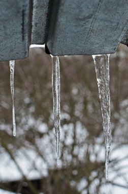 Icicles of various shapes hang from the metal roof. Selective focus