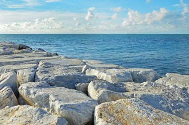 İtalya 'da Pisa yakınlarındaki Ligurian Denizi' nin Rocky kıyısında.