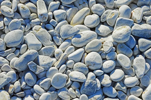 意大利比萨附近利古里亚海沿岸不同尺寸的椭圆形和圆形大理石卵石 — 图库照片