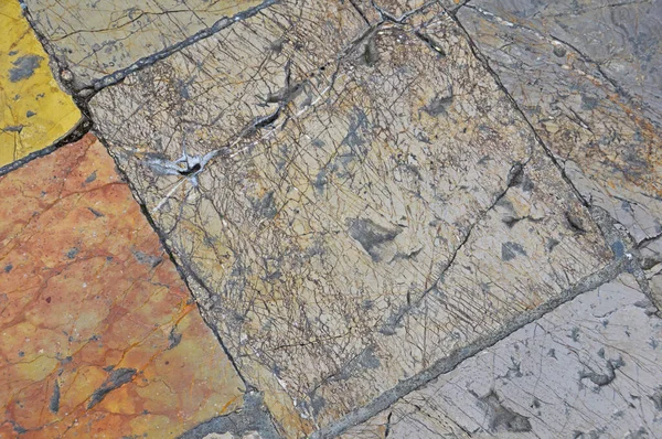 イタリアピサの正方形の奇跡で大理石のタイルで作られた歩行者パス — ストック写真
