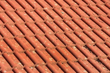 Döşeme çatısında kuş pisliği var.