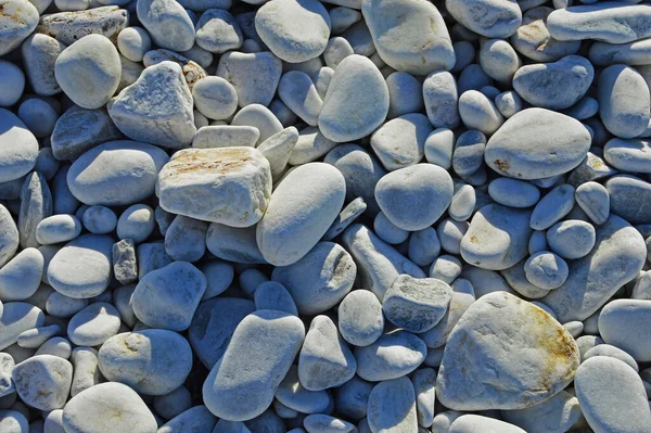 意大利比萨附近利古里亚海沿岸不同尺寸的椭圆形和圆形大理石卵石 — 图库照片