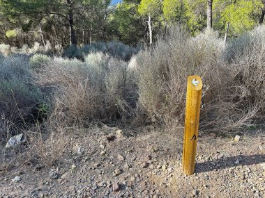 Montes de Malaga Doğal Parkı 'ndaki yürüyüş rotasında yön işaretleri.