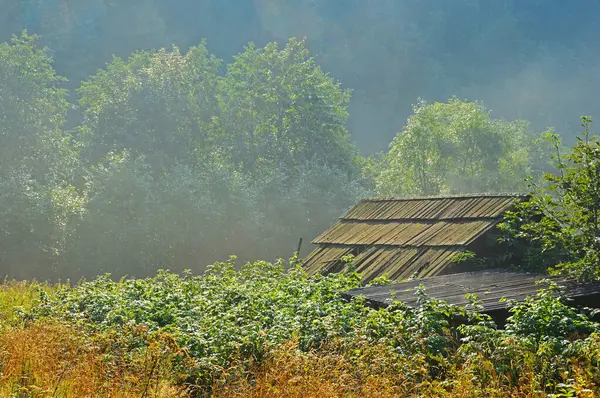 The first rays of the sun break through the morning fog in the countryside