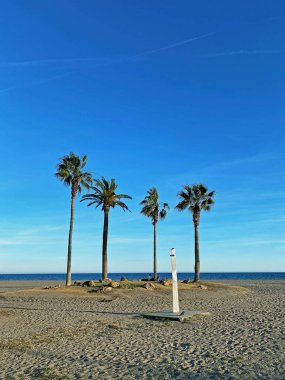 İspanya 'da Malaga yakınlarındaki Torremolinos' taki Alamos Plajı 'nda dört palmiye ve bir duş.