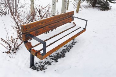 Parkta karın altında yapayalnız bir bank