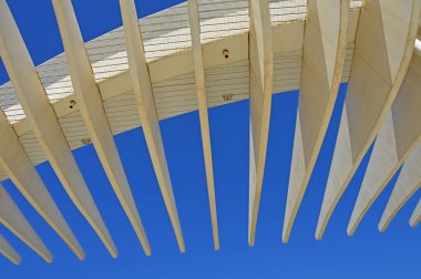 İspanya 'nın Malaga kentindeki Muelle Uno Bulvarı yakınlarındaki Palm gezinti alanında halk sanatı