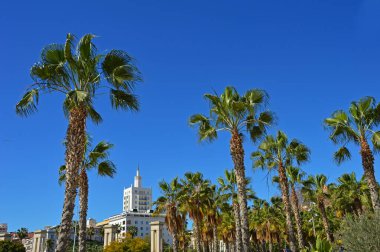 İspanya 'da Malaga Bulvarı' nda Soho Butik Equitativa Oteli ve Sadece Sen Oteli ile Bina