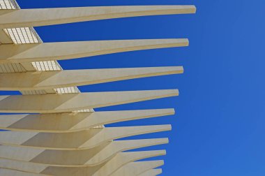 İspanya 'nın Malaga kentindeki Muelle Uno Bulvarı yakınlarındaki Palm gezinti alanında halk sanatı