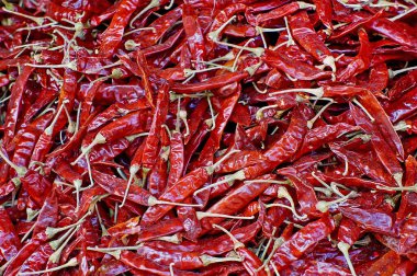  Bir sürü kurutulmuş sıcak Hint kırmızı biberi.                              