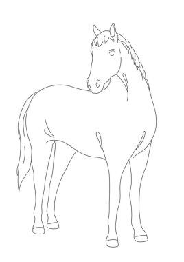 Tek Renkli Vektör At Çizgisi Beyaz Arkaplanda İzole Edilmiş. 