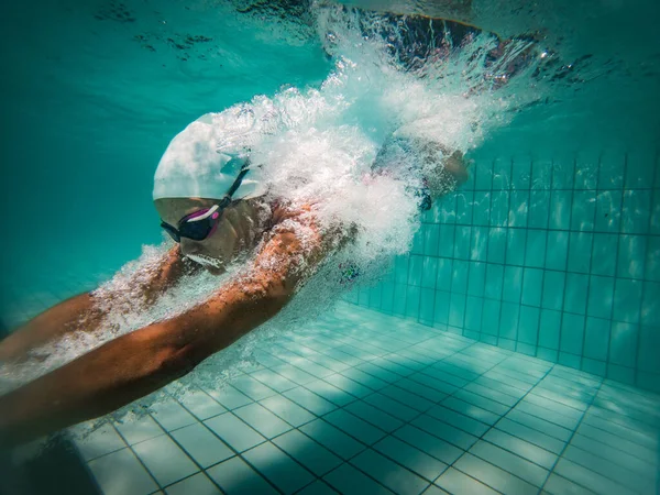 才能ある女性水泳選手がトレーニングや競技のためにフルサイズのトーナメントプールに飛び込む — ストック写真