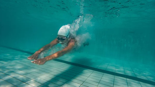 Utalentowana Pływaczka Nurkuje Pełnym Basenie Turniejowym Aby Trenować Lub Rywalizować — Zdjęcie stockowe