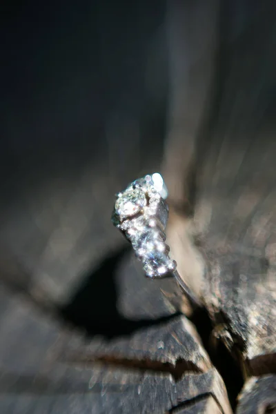 結婚指輪のこの素晴らしいクローズアップイメージは 大切な結婚式の伝統の美しさと象徴性をキャプチャします この写真は 新郎新婦の結婚指輪をニュートラルな表面に繊細に配置し 複雑な詳細を強調しています — ストック写真