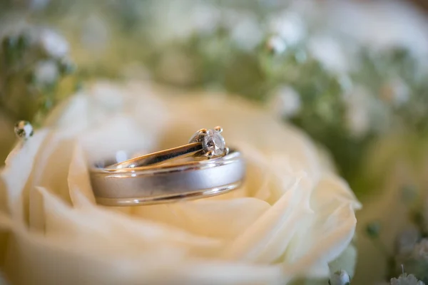 Nikah Yüzüklerinin Çarpıcı Yakın Plan Görüntüsü Sevgi Dolu Düğün Geleneğinin — Stok fotoğraf