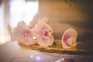 Bu resim, katmanlı keklerden fincan keklere kadar çeşitli çarpıcı düğün pastaları sergiliyor. Fotoğrafta, her biri karmaşık detaylar ve hassas kremalarla özenle dekore edilmiş bir dizi lezzetli pasta yer alıyor. Pastalar vari şeklinde geliyor.