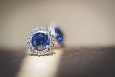 Bu büyüleyici görüntü, küpe, ayakkabı, jartiyer, mücevher ve parfüm gibi gelin aksesuarlarının yaratıcı ve sanatsal bir fotoğrafını sergiliyor. Fotoğraf çeşitli elementlerin güzel bir bileşimidir, karmaşık ayrıntıları vurgular. 