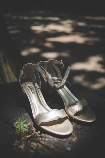 Büyüleyici Görüntü Küpe Ayakkabı Jartiyer Mücevher Parfüm Gibi Gelin Aksesuarlarının — Stok fotoğraf