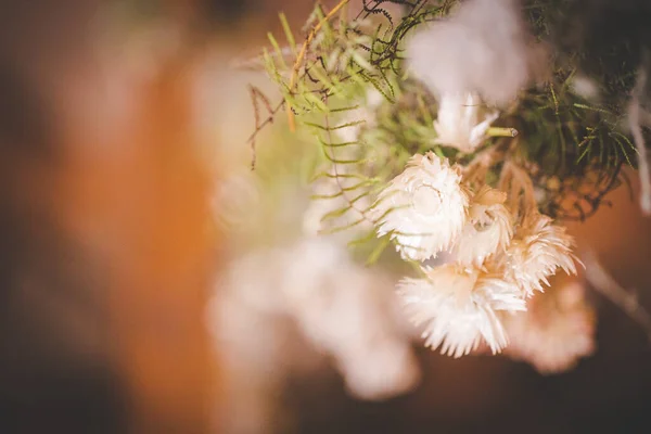 Lenyűgöző Kép Bemutatja Elegáns Dekoráció Lenyűgöző Virágdísz Egy Igazi Esküvő — Stock Fotó