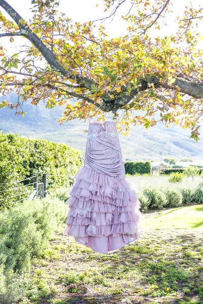 Захватывающее Изображение Демонстрирует Свадебное Платье Сложными Деталями Сфотографированными Творческим Уникальным Лицензионные Стоковые Изображения