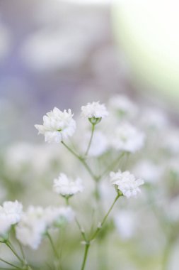 Bu büyüleyici görüntü, gerçek bir düğünün zarif dekorunu ve büyüleyici çiçek düzenlemelerini gözler önüne seriyor. Fotoğrafta zarif çiçekler, mumlar ve diğer dekoratif el ile süslenmiş büyüleyici bir düğün yerinde güzel dekore edilmiş bir masa yer alıyor.