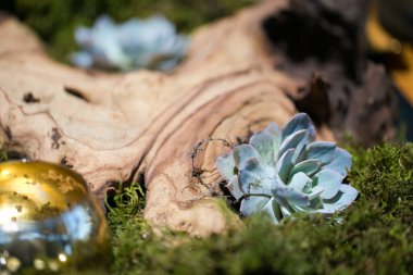 Bu büyüleyici görüntü, gerçek bir düğünün zarif dekorunu ve büyüleyici çiçek düzenlemelerini gözler önüne seriyor. Fotoğrafta zarif çiçekler, mumlar ve diğer dekoratif el ile süslenmiş büyüleyici bir düğün yerinde güzel dekore edilmiş bir masa yer alıyor.