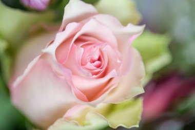 Bu büyüleyici görüntü, gerçek bir düğünün zarif dekorunu ve büyüleyici çiçek düzenlemelerini gözler önüne seriyor. Fotoğrafta zarif çiçekler, mumlar ve diğer dekoratif el ile süslenmiş büyüleyici bir düğün yerinde güzel dekore edilmiş bir masa yer alıyor.