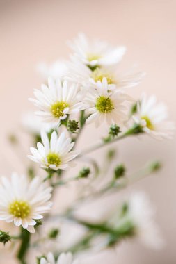 Bu büyüleyici görüntü, gerçek bir düğünün zarif dekorunu ve büyüleyici çiçek düzenlemelerini gözler önüne seriyor. Fotoğrafta zarif çiçekler, mumlar ve diğer dekoratif el ile süslenmiş büyüleyici bir düğün yerinde güzel dekore edilmiş bir masa yer alıyor.