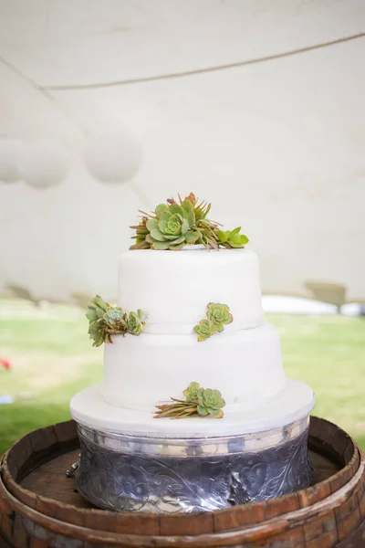 这张照片展示了各种各样令人惊叹的婚礼蛋糕 从分层蛋糕到杯子蛋糕 这张照片展示了一系列美味的蛋糕 每一个都精心装饰着复杂的细节和精致的霜冻 蛋糕有各种各样的品种 — 图库照片