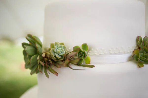 Изображение Демонстрирует Различные Потрясающие Свадебные Торты Начиная Многоуровневых Тортов Чашечки — стоковое фото