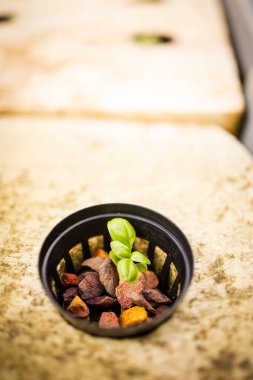 Yeşil yapraklı sebzeler ve bitkiler yetiştiren yüksek teknolojili bir su ürünleri tesisinin görüntüsünü kapatın.