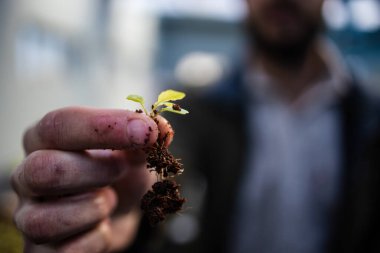 Yeşil yapraklı sebzeler ve bitkiler yetiştiren yüksek teknolojili bir su ürünleri tesisinin görüntüsünü kapatın.