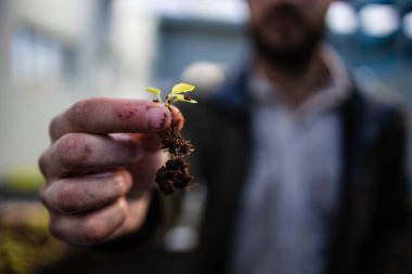 Yeşil yapraklı sebzeler ve bitkiler yetiştiren yüksek teknolojili bir su ürünleri tesisinin görüntüsünü kapatın.