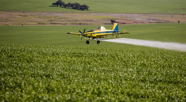 Κοντινό Πλάνο Εικόνα Των Καλλιεργειών Αεροπλάνο Ξεσκονόπανο Ψεκασμό Καλλιέργειες Σιτηρών — Φωτογραφία Αρχείου