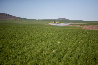 Ekin ilaçlama uçağının çiftlikteki bir tarlaya tahıl sıktığı görüntüyü kapatın.